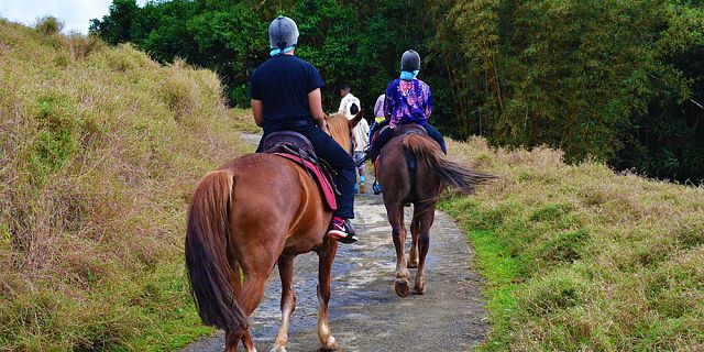 Horse riding excursion and quad biking (4)